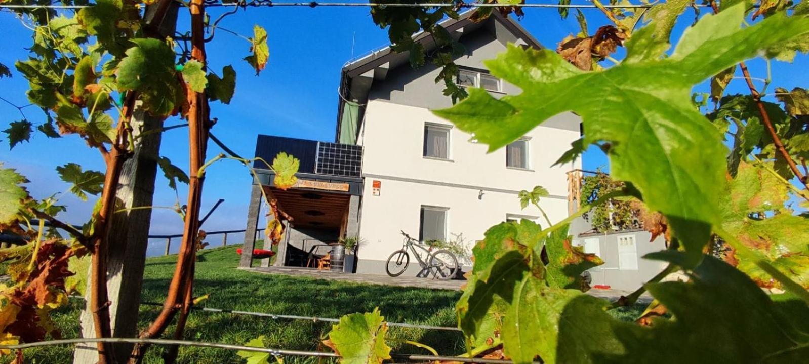 Apartmaji Gracner Dramlje Εξωτερικό φωτογραφία